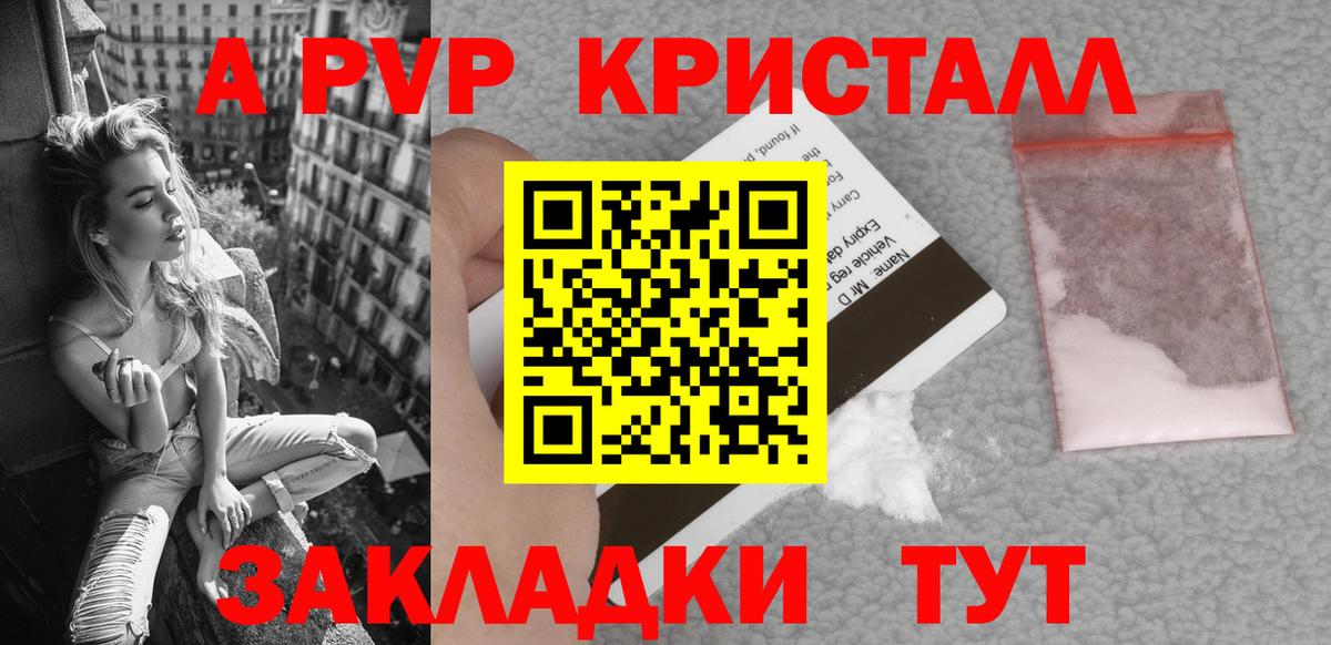 Альфа ПВП СК КРИС Кандалакша