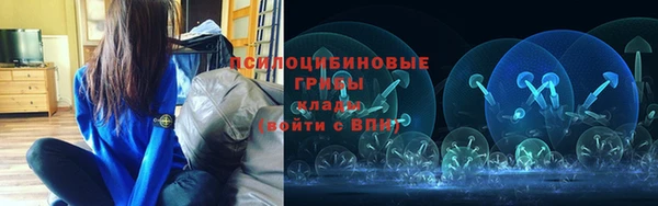 2c-b Абдулино