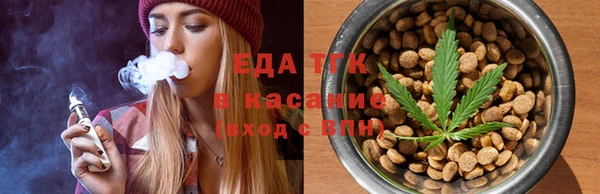 тгк Абаза