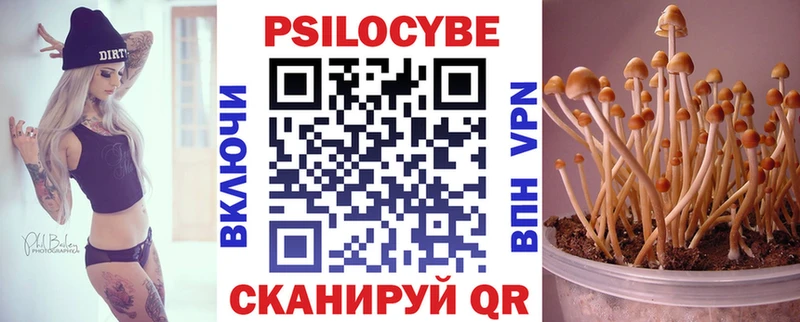 Псилоцибиновые грибы прущие грибы  Кандалакша 