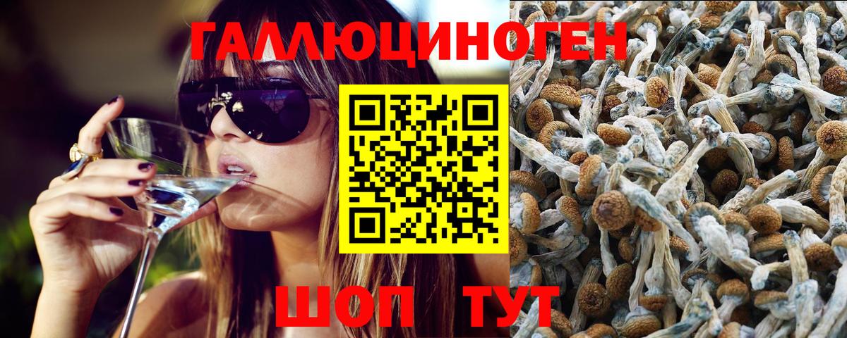 Кандалакша  Галлюциногенные грибы мицелий  Вход с VPN 