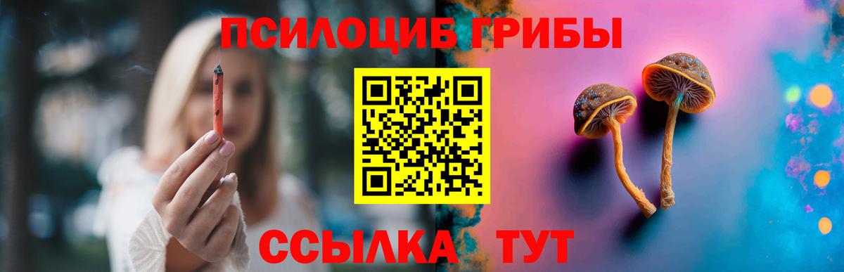 Псилоцибиновые грибы ЛСД Кандалакша